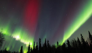 Northern Lights as seen from an Aurora Borealis Viewing Lodge - A Taste of Alaska