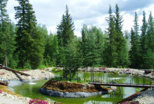 Enjoy the Pond in Summertime at A Taste of Alaska Lodge Alaska