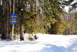 As well as being a perfect Fairbanks Aurora Viewing Location, A Taste of Alaska Lodge has great snowshoeing trails.
